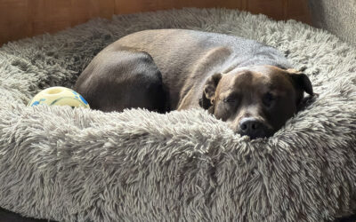 zero to beggar in 0.5 seconds!