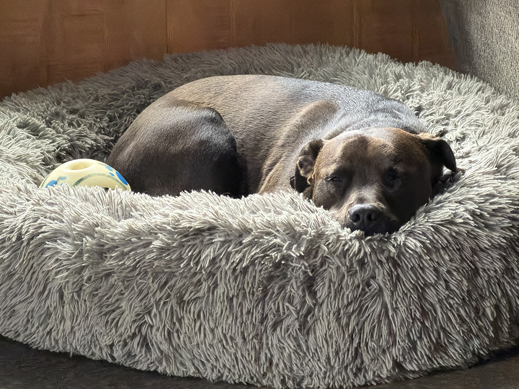 zero to beggar in 0.5 seconds