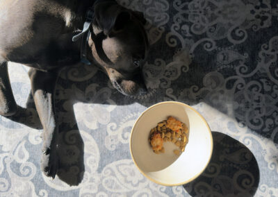 No chicken: week #12