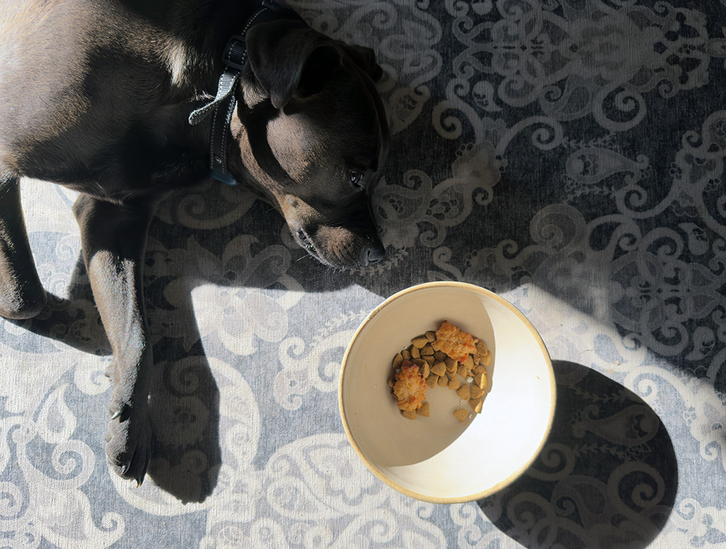 No chicken: week #12