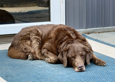 Dharma get Vitamin D: week# 13