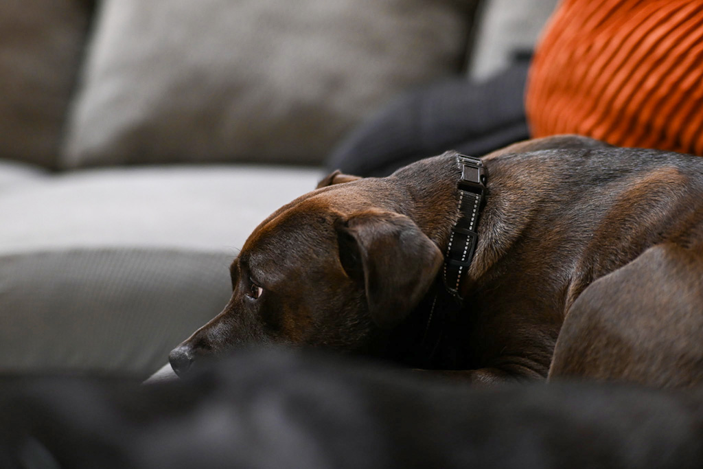 Don't ignore the prince.