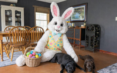 only people with few brain cells believe it’s real