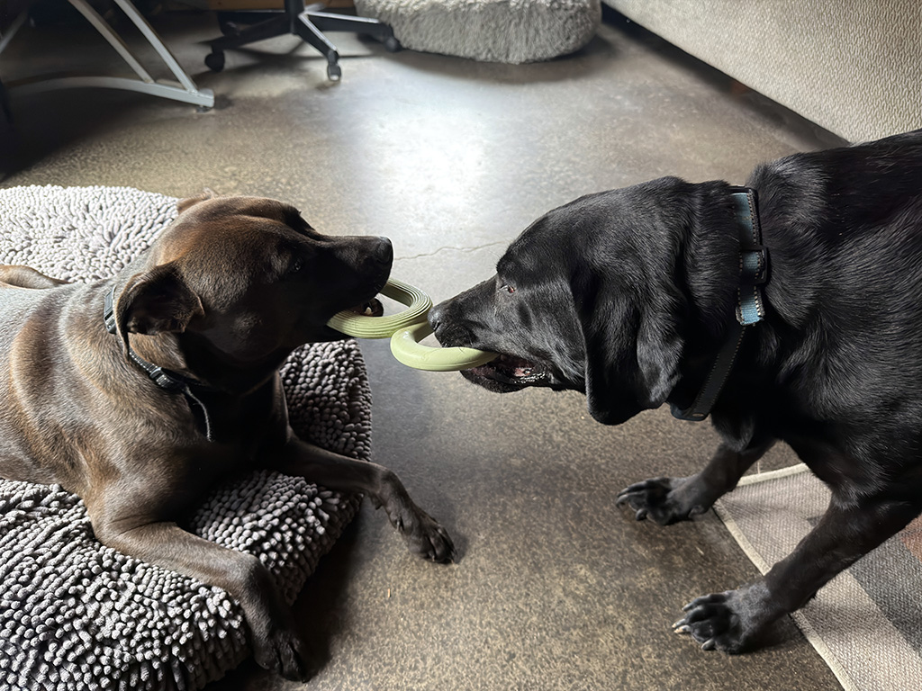 Tug of war: week #16