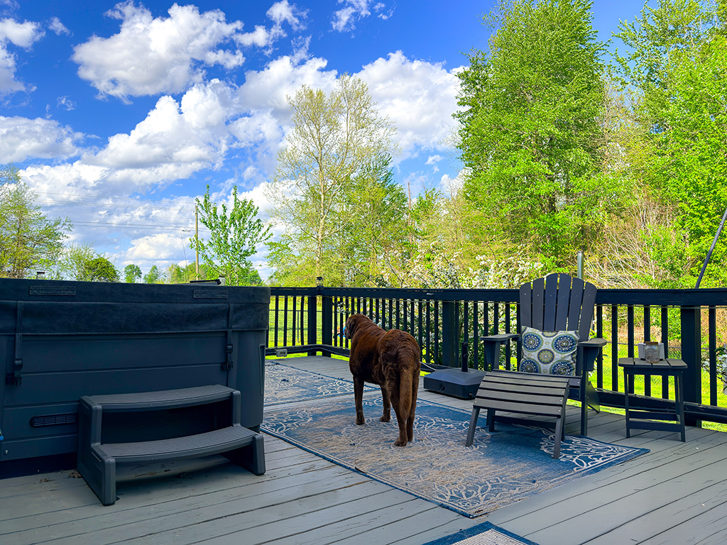 spring in the Ville with Dharma