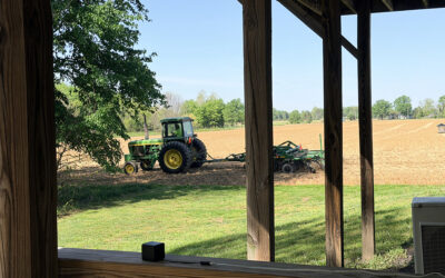 spring 2026: crops are planted