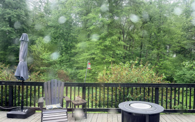 impeccable timing for the win!