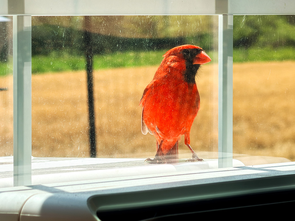 my new red alarm clock
