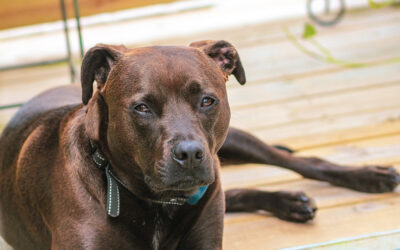 if you’re healthy, be grateful