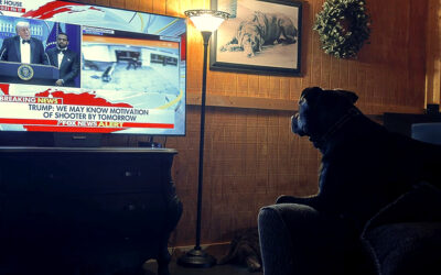 let’s talk about Kash Patel & Jimmy Kimmel