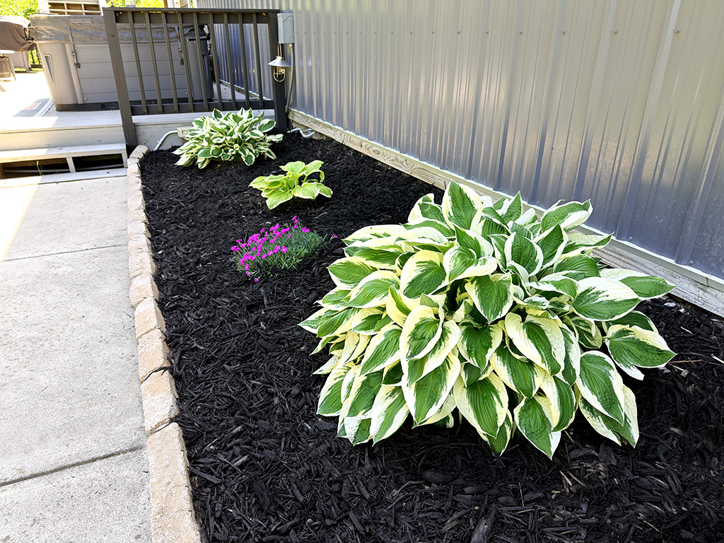 flower bed ready for summer