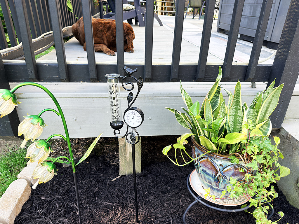 outdoor deck