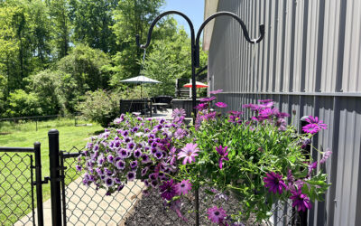 les fleurs sont belles — and I’m painting doors