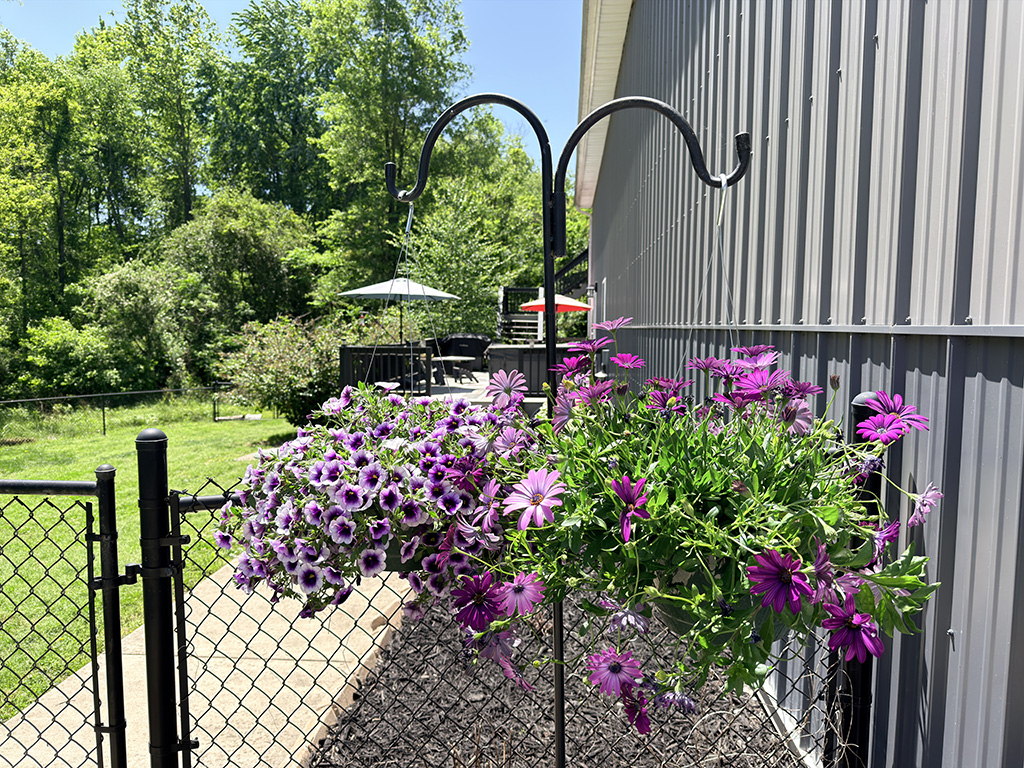 hanging baskets