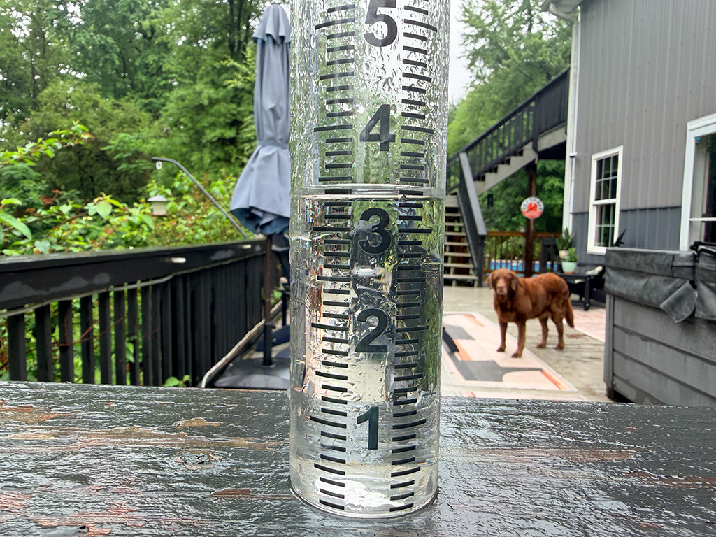 rain gauge