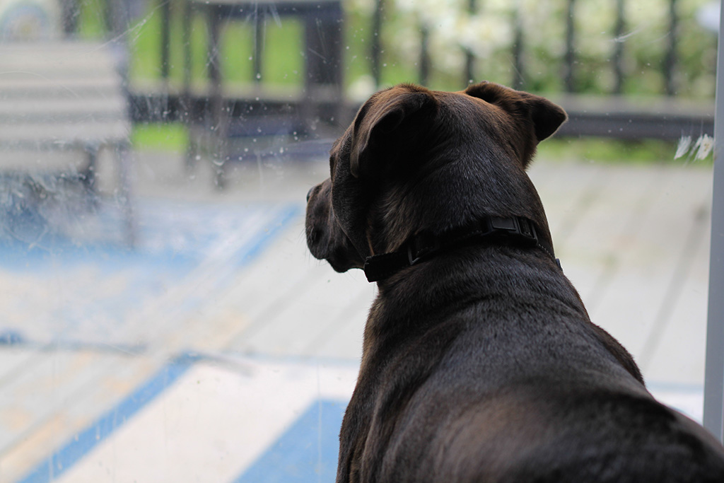 Hugo knows about redistricting