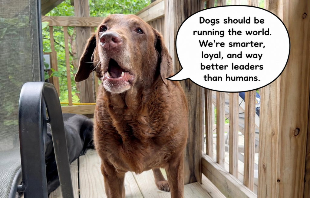 Dharma is leading a canine revolution.
