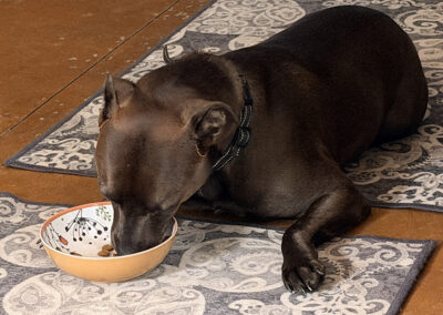 Hungry Hugo: week #26