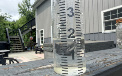 have you ever seen the rain? We have!