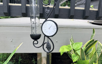 Rain is over: excessive heat incoming