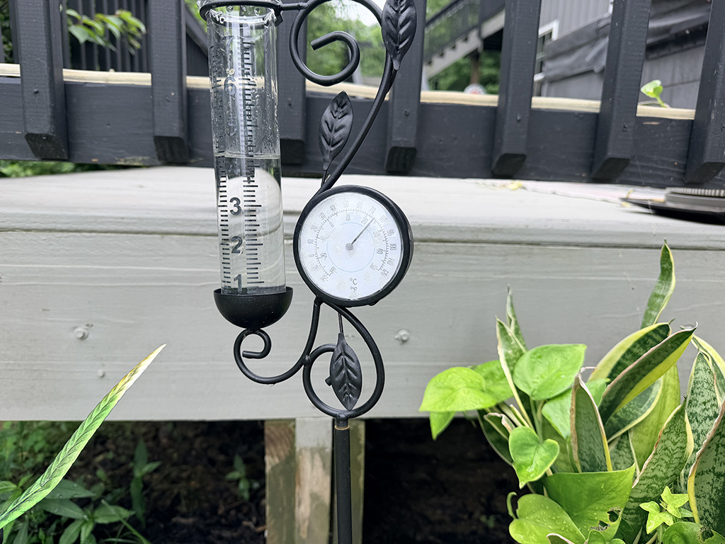 rain guage