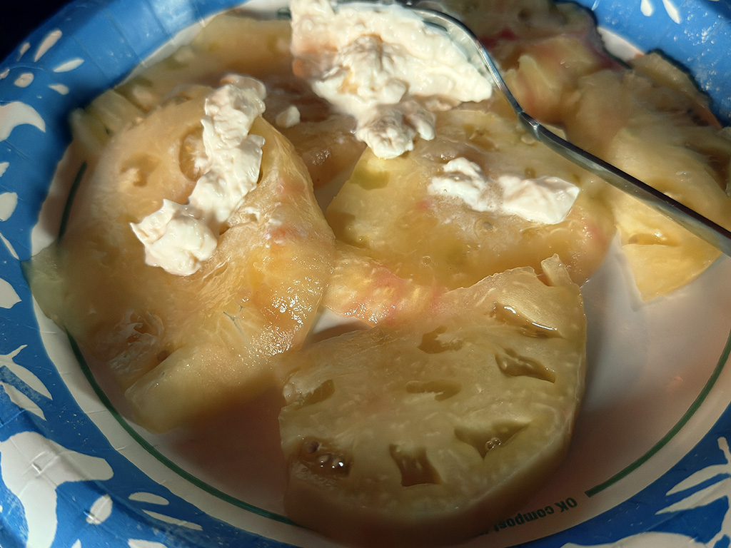 white tomato