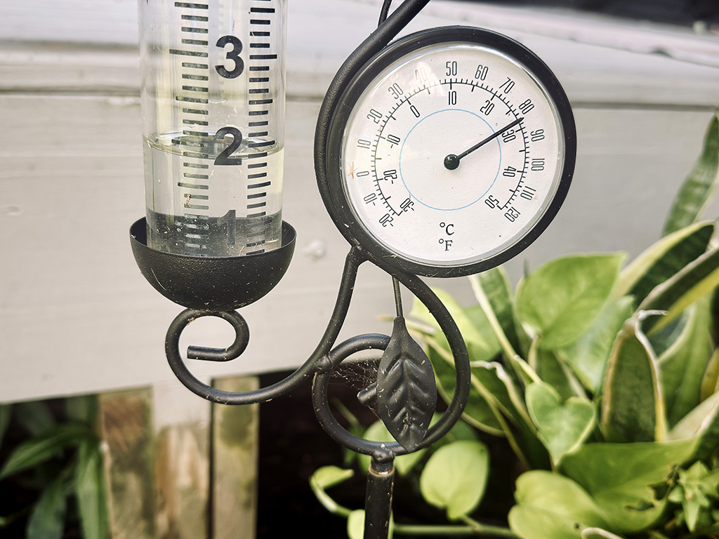 rain gauge 2"
