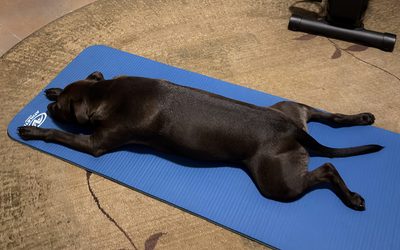 workout partners make exercising more fun