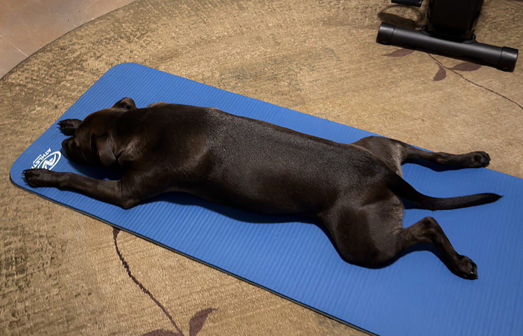 hugo working on flexibility