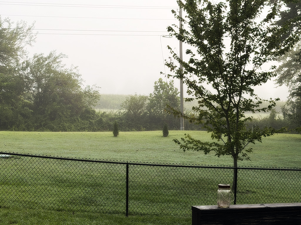 foggy morning