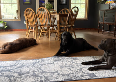 3 amigos: week #38