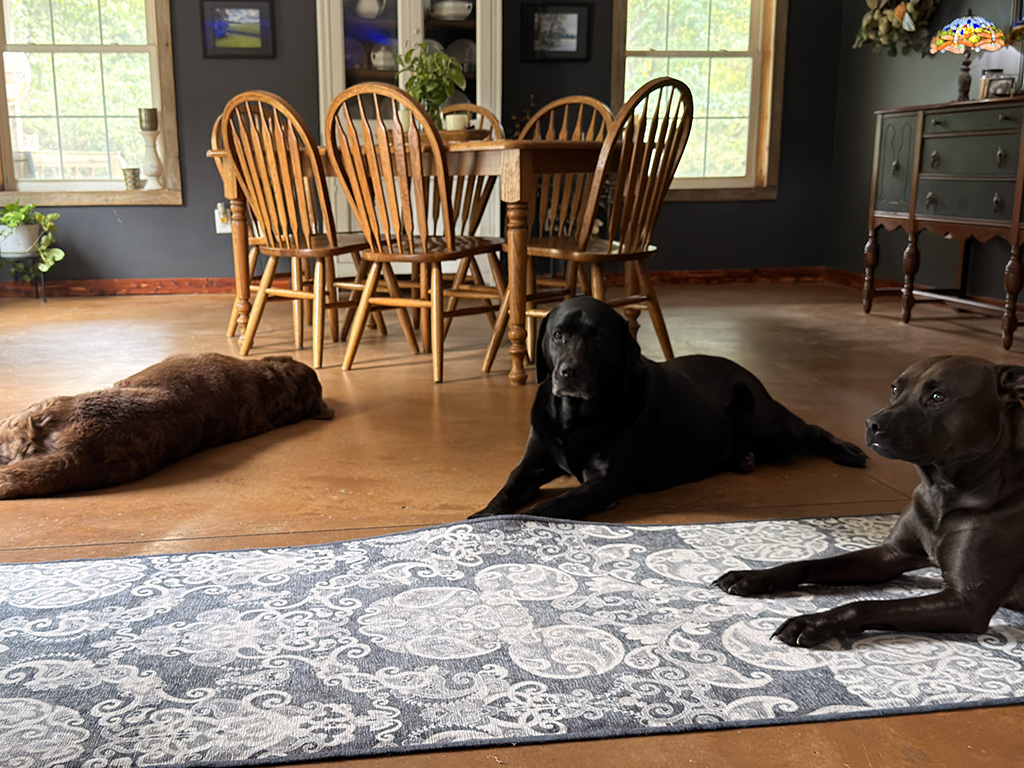 3 amigos: week #38