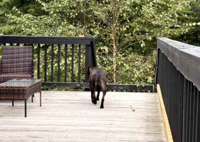 Hugo outside: week #40