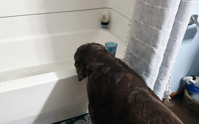 are you team shower or team bath?
