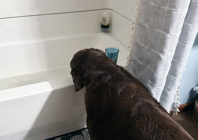 Dharma prefers a bath: week #39