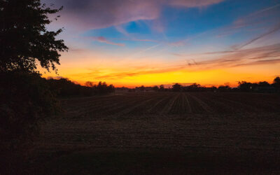 it could threaten humanity’s entire future