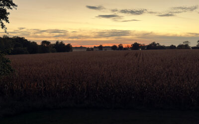 fall is fabulous in Indiana and i’m thrilled i don’t drive a school bus