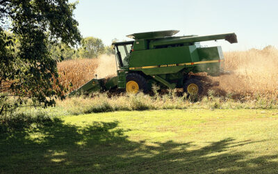 harvest day 2026 began yesterday – privacy fence going down!