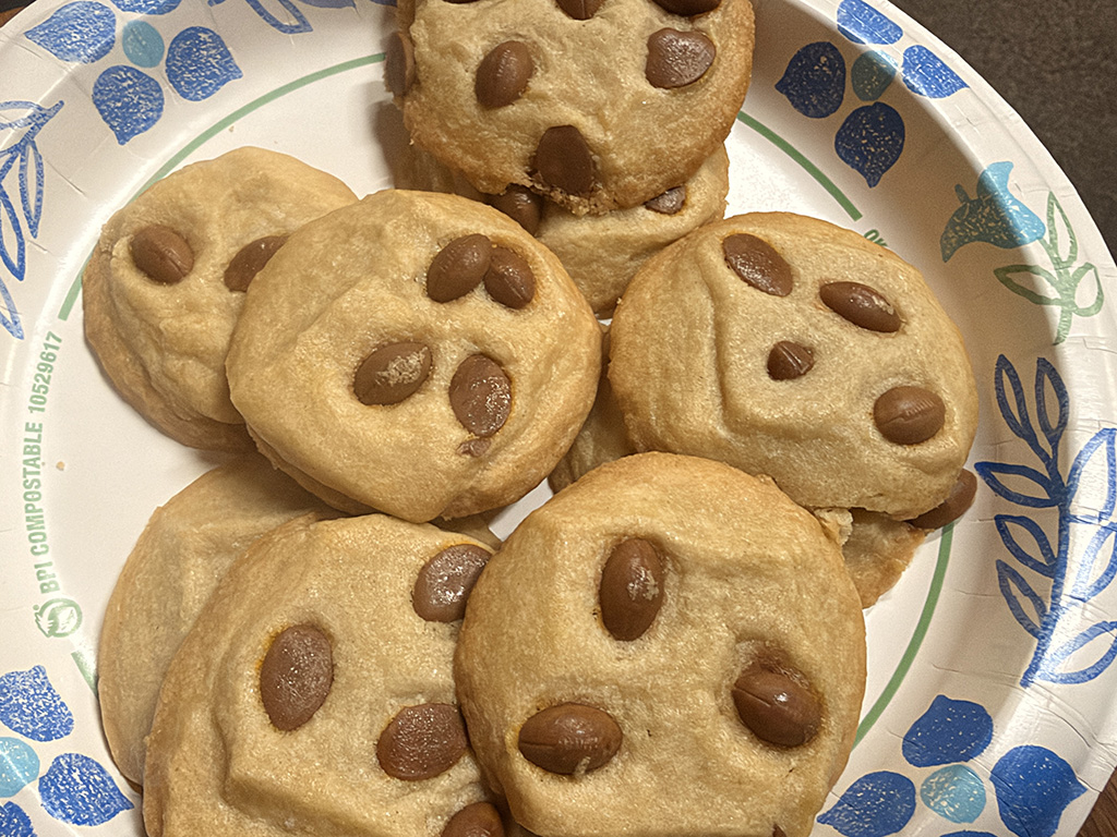 stink bug cookies